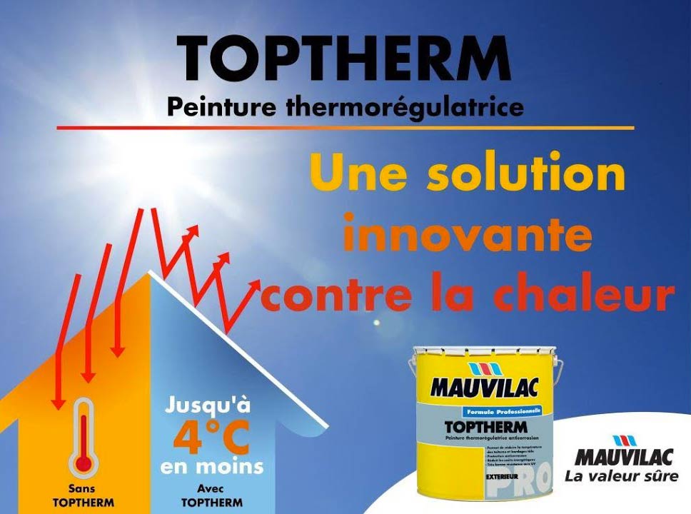 TRAVAUX TOITURE : kaz Clean 974 dans l'île de la réunion 974 : étanchéité, nettoyage, réparation chéneaux, peinture toit, traitement rouille, pose de gouttières et de couverture